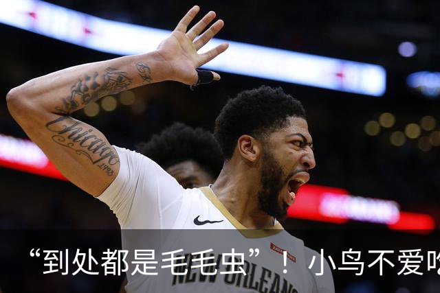 “到处都是毛毛虫”！小鸟不爱吃，北京释放数亿头小蜂迎战！