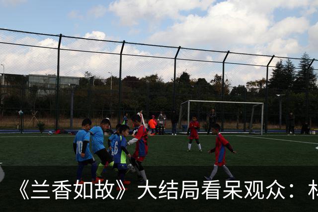 《兰香如故》大结局看呆观众：林家全员好人，古偶剧变古童剧？