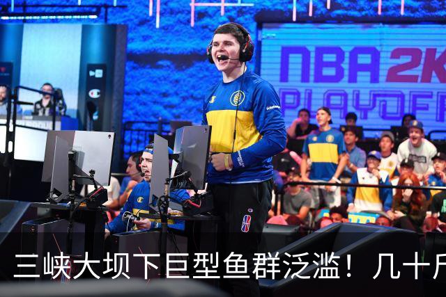 三峡大坝下巨型鱼群泛滥！几十斤鲢鳙到处都是，这现象是好是坏？