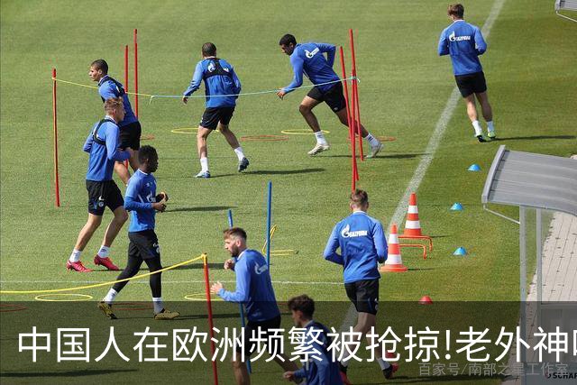 中国人在欧洲频繁被抢掠!老外神吐槽:中国人是没见过天敌的渡渡鸟