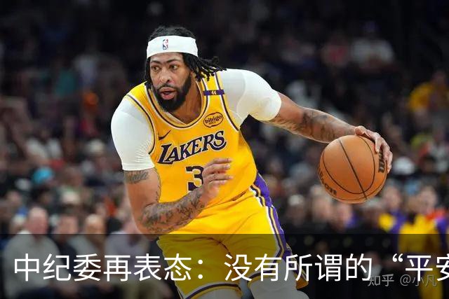 中纪委再表态：没有所谓的“平安着陆”