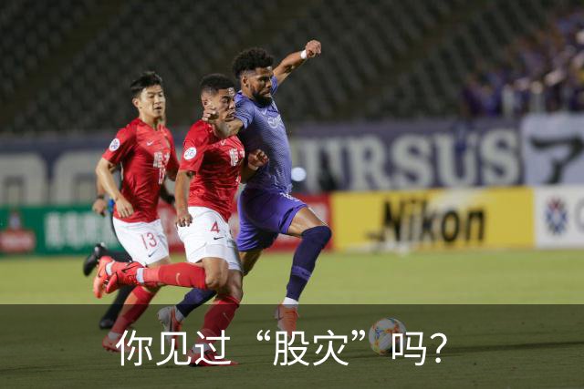你见过“股灾”吗？