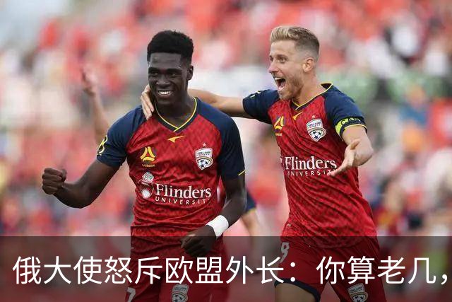 俄大使怒斥欧盟外长：你算老几，凭什么跟我们总统通话