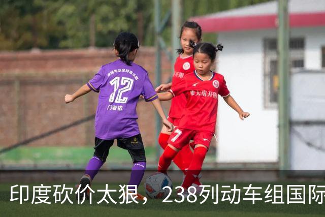 印度砍价太狠，238列动车组国际招标无人投标，本土厂商强行接盘，安全风险大到惊人