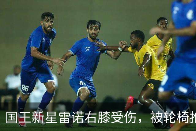 国王新星雷诺右膝受伤，被轮椅推出场