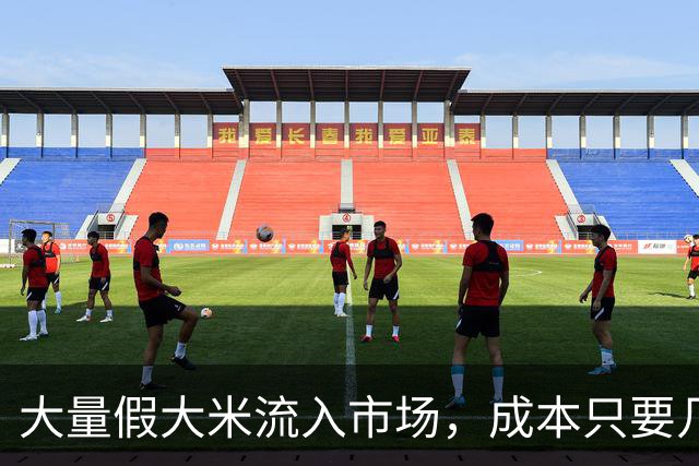 大量假大米流入市场，成本只要几毛钱？提醒：4种大米，劝你别买