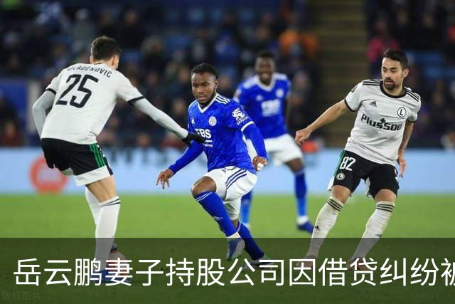 岳云鹏妻子持股公司因借贷纠纷被起诉