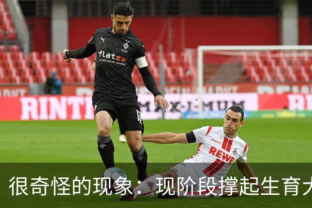 很奇怪的现象：现阶段撑起生育大盘的，并非90后、00后，而是人到中年的80后