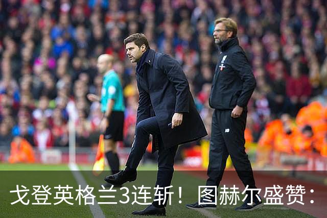 戈登英格兰3连斩！图赫尔盛赞：他已到另一层次
