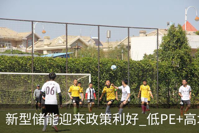 新型储能迎来政策利好 低PE+高增长潜力股出炉