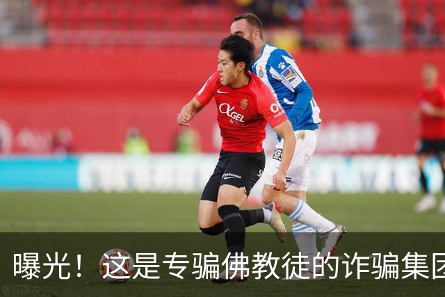 曝光！这是专骗佛教徒的诈骗集团