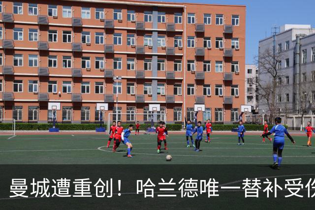 曼城遭重创！哈兰德唯一替补受伤 马雷斯卡亲承伤停8周