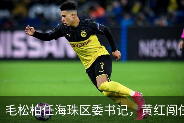毛松柏任海珠区委书记，黄红闯任副区长、代理区长