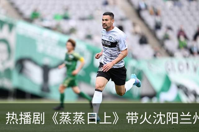 热播剧《蒸蒸日上》带火沈阳兰州北街！萧龙女律所、胖姐洗浴……