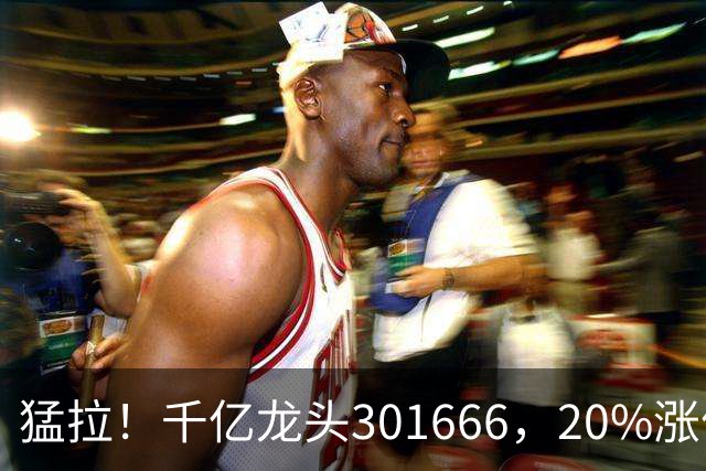 猛拉！千亿龙头301666，20%涨停