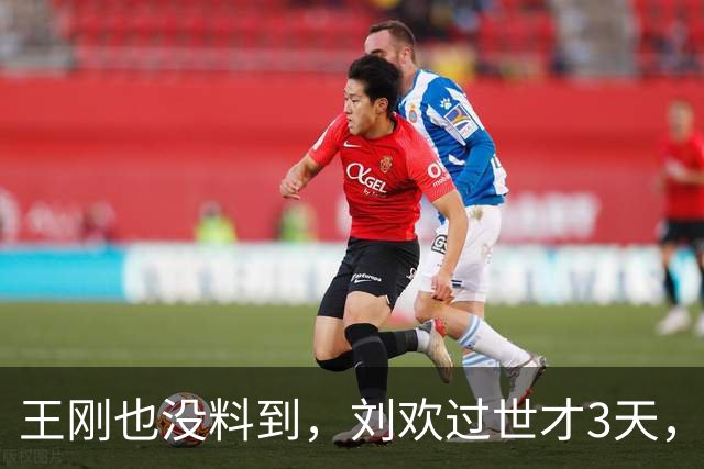 王刚也没料到，刘欢过世才3天，前妻成方圆竟因一个举动口碑逆转
