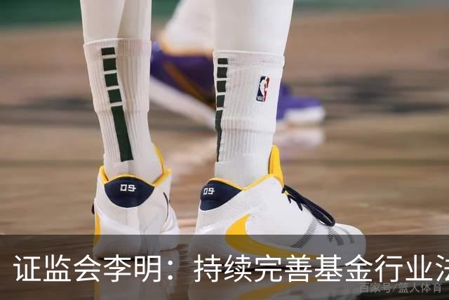 证监会李明：持续完善基金行业法规制度 推进资本市场高水平对外开放