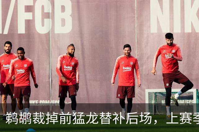 鹈鹕裁掉前猛龙替补后场，上赛季他在欧洲赛场的表现非常一般？