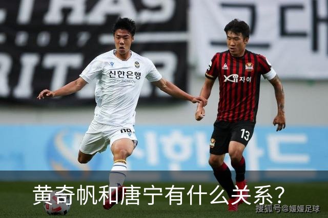 黄奇帆和唐宁有什么关系？