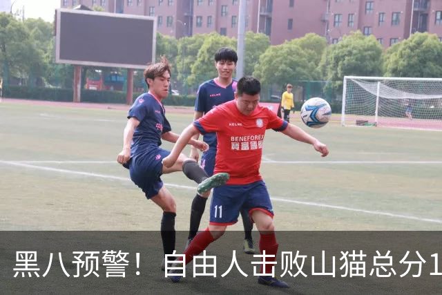 黑八预警！自由人击败山猫总分1-0 斯图尔特34+12韩旭5分2帽