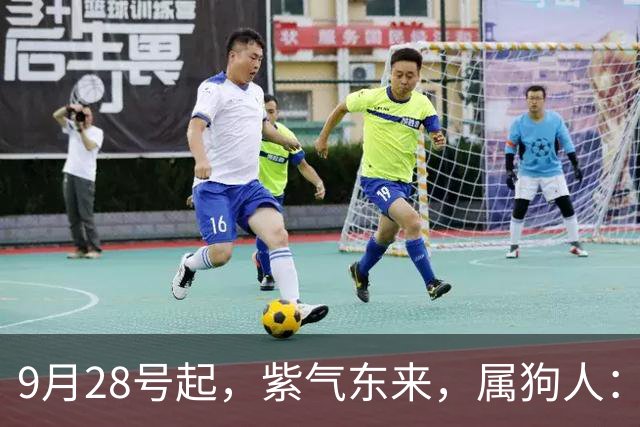 9月28号起，紫气东来，属狗人：人在家中坐，财从天上来